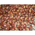 cokelat chestnut super manis